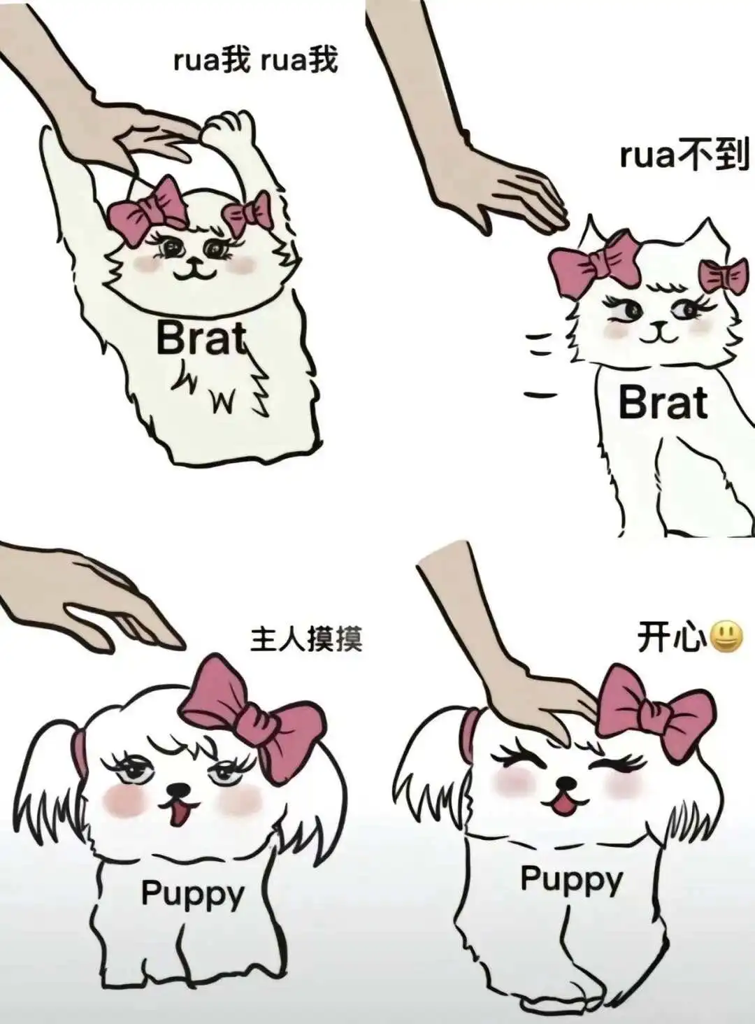 西檬之家ddlg是什么?字母圈新人入圈 一