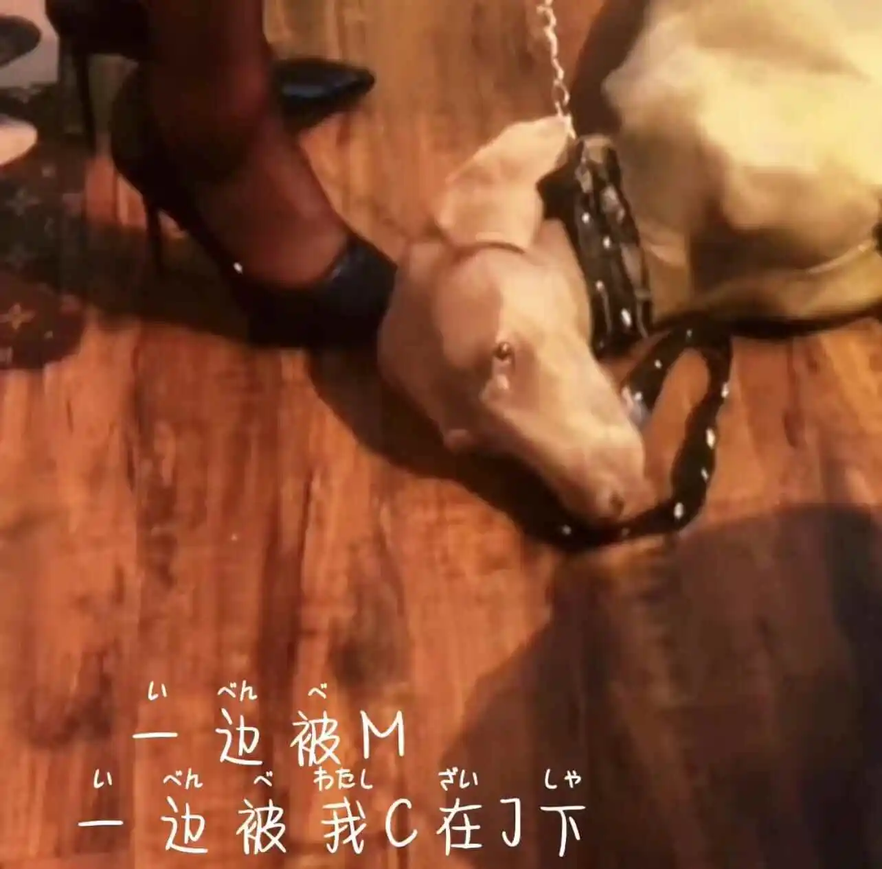 西檬之家BDSM是什么?字母圈新人如何正确入圈 一
