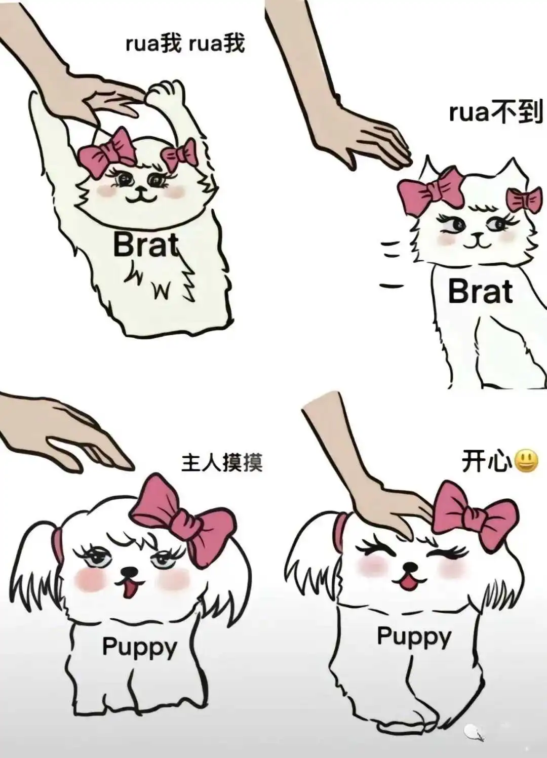西檬之家k9犬系是什么意思? 一