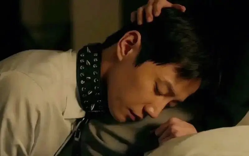西檬之家ddlg是什么?你的角色属性藏不住 一