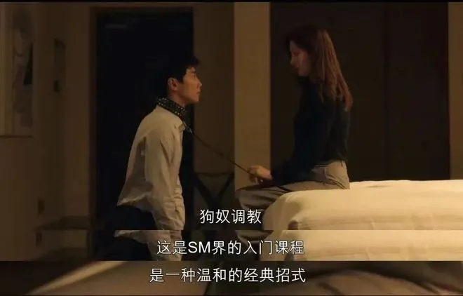 西檬之家字母圈里S属性是什么意思? 一