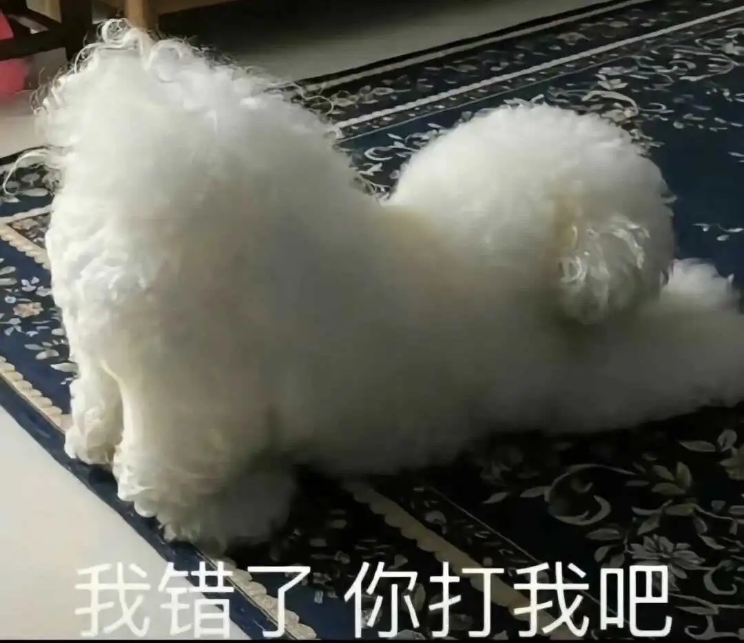 西檬之家k9是什么?字母圈宠物扮演指南 一