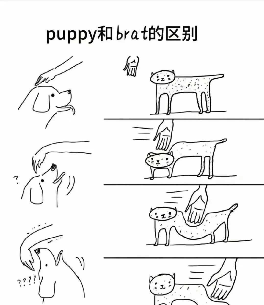 西檬之家字母圈的aftercare是什么? 一