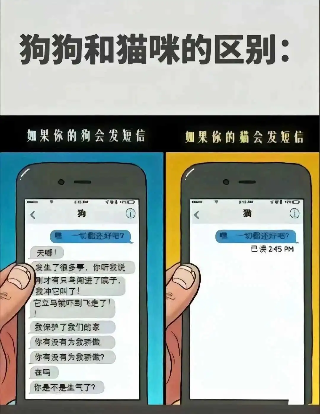 西檬之家BDSM入圈有哪些必须知道的常识? 一