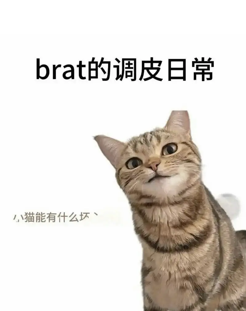 西檬之家BDSM新手指南:如何建立安全的Dom/sub关系? 一