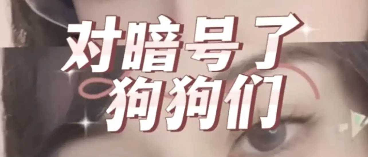 西檬之家字母圈的DS关系是什么意思? 一
